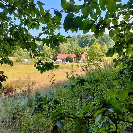 Accommodatie bij particulieren Chambre Spacieuse Avec Vue Sur Clocher